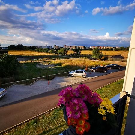 Teo Apartment Брашов Екстериор снимка