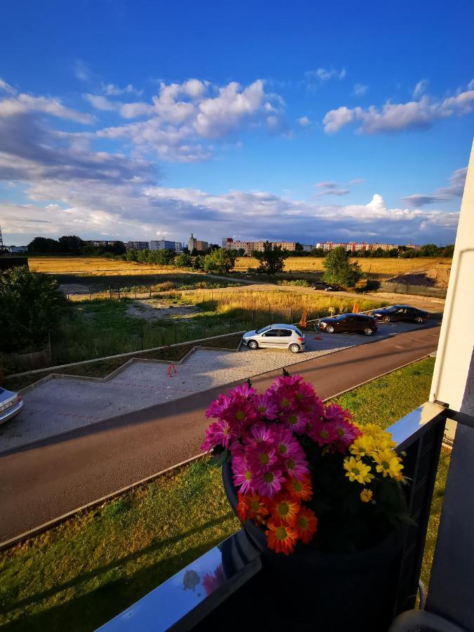 Teo Apartment Брашов Екстериор снимка